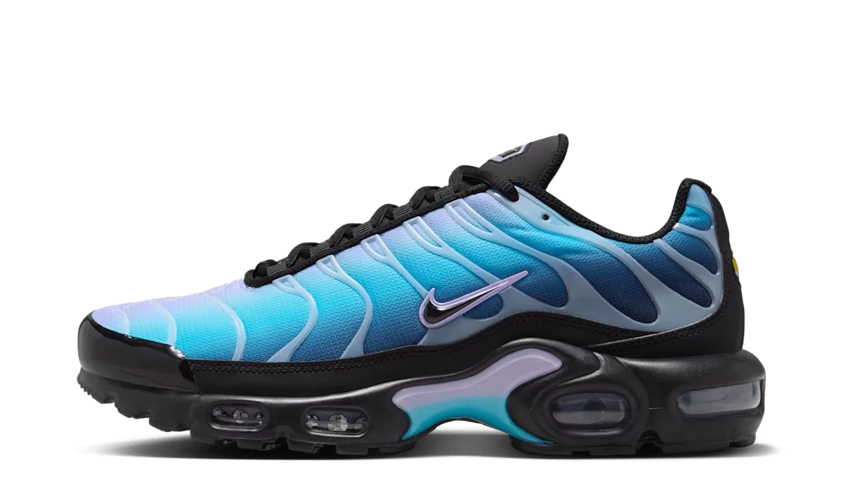 Nike Air Max Plus Black Hydrangeas (W)