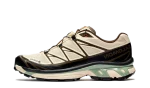 Salomon XT-6 Gore-Tex Sneakersnstuff Almond Milk Seagrass