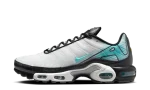 Nike Air Max Plus Mercurial Vapor