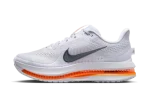 Nike Air Zoom Pegasus Premium Airscape (W)