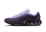 Nike Air Max Dn Dark Raisin Dusty Amethyst Black Amethyst Tint (W)