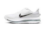 Nike Air Zoom Pegasus Premium White Metallic Silver