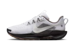 Nike Pegasus Trail 5 ‘Summit White’