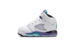 Jordan 5 Retro Grape (2025) (TD)