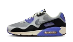 Nike Air Max 90 SP Patta Waves Sapphire