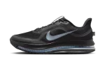 Nike Air Zoom Pegasus Premium Black Metallic Silver