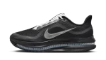 Nike Air Zoom Pegasus Premium SPBlack Metallic Silver