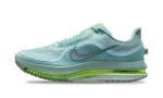 Nike Air Zoom Pegasus Premium Cannon